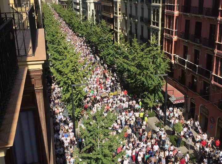 Granada protesta por el “mal” funcionamiento de los hospitales de la capital.